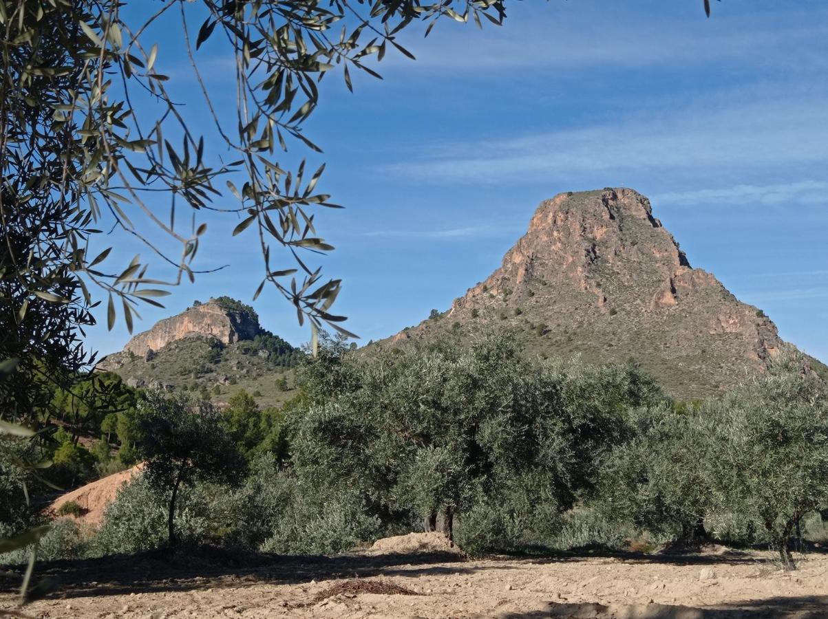 Casa Camille.Villares إلتشي دي لا سييرا المظهر الخارجي الصورة